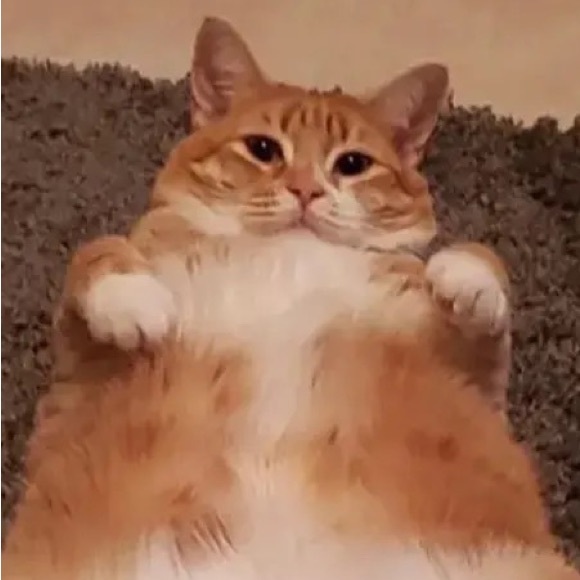 crispysounds